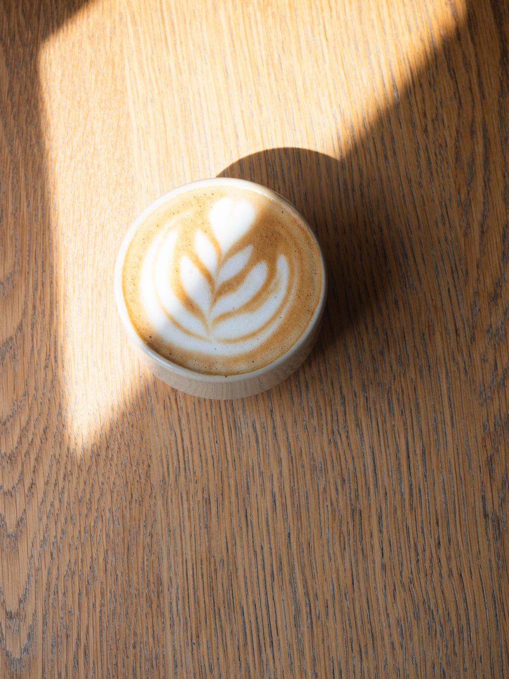 hsc&r coffee workshop