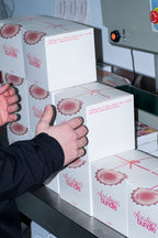 hsc&r CHRISTMAS BUNDLE (A)